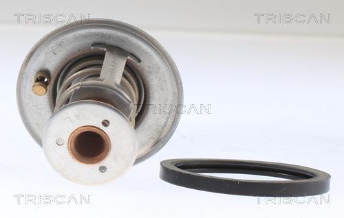 Termóstato de água Triscan A/S ref. 8620 13292