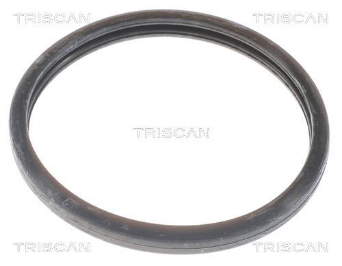 Termostato, refrigerante Triscan A/S ref. 8620 13688