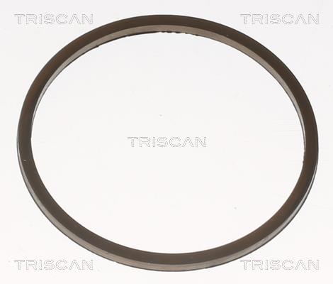 Thermostat d'eau (Calorstat) Triscan A/S 8620 14992