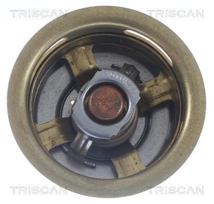 Thermostat d'eau (Calorstat) Triscan A/S 8620 15588