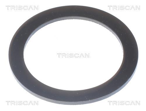 Thermostat d'eau (Calorstat) Triscan A/S 8620 15588