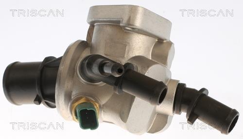 Thermostat d'eau (Calorstat) Triscan A/S 8620 18188