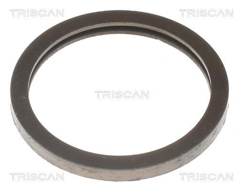 Thermostat d'eau (Calorstat) Triscan A/S 8620 1875