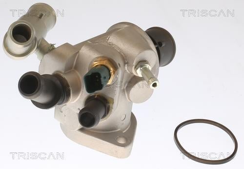 Thermostat d'eau (Calorstat) Triscan A/S 8620 20788