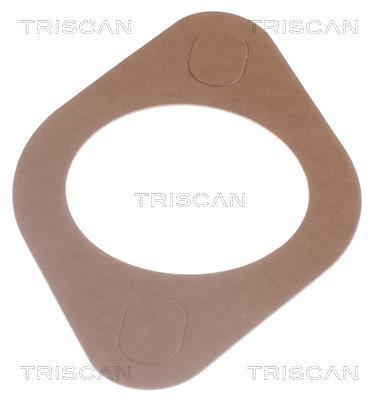 Thermostat d'eau (Calorstat) Triscan A/S 8620 2091