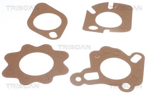 Thermostat d'eau (Calorstat) Triscan A/S ref. 8620 2188