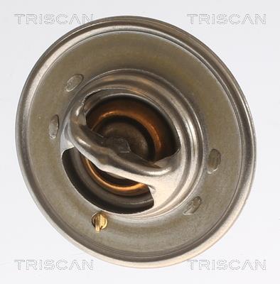 Thermostat d'eau (Calorstat) Triscan A/S 8620 2191