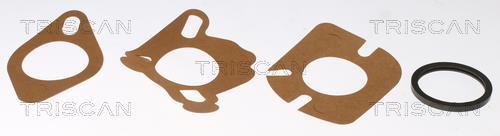 Thermostat d'eau (Calorstat) Triscan A/S 8620 2191