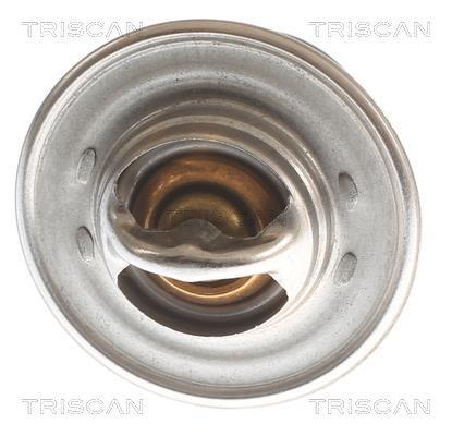 Termóstato de água Triscan A/S ref. 8620 2291