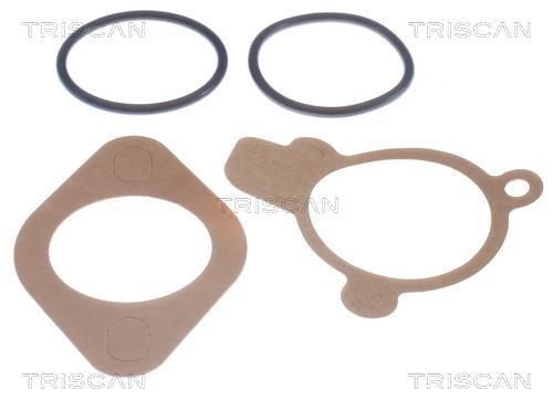 Thermostat d'eau (Calorstat) Triscan A/S ref. 8620 2387