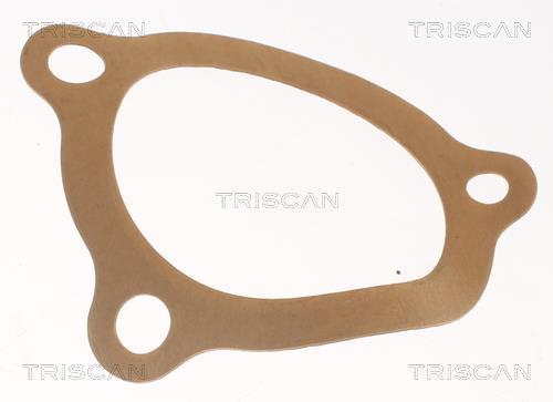 Thermostat d'eau (Calorstat) Triscan A/S 8620 2492