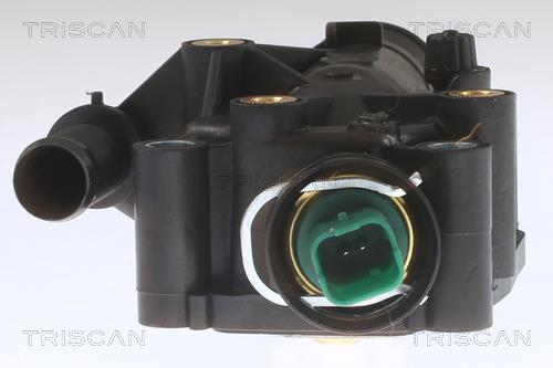 Thermostat d'eau (Calorstat) Triscan A/S ref. 8620 25291