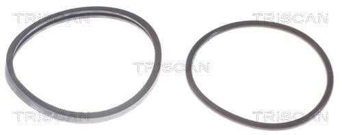 Thermostat d'eau (Calorstat) Triscan A/S ref. 8620 2682