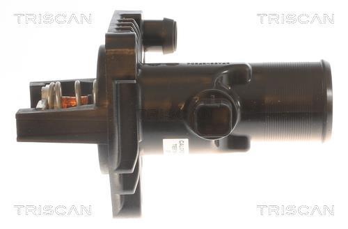 Thermostat d'eau (Calorstat) Triscan A/S 8620 27084