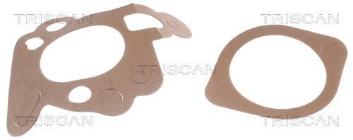 Thermostat d'eau (Calorstat) Triscan A/S 8620 2782