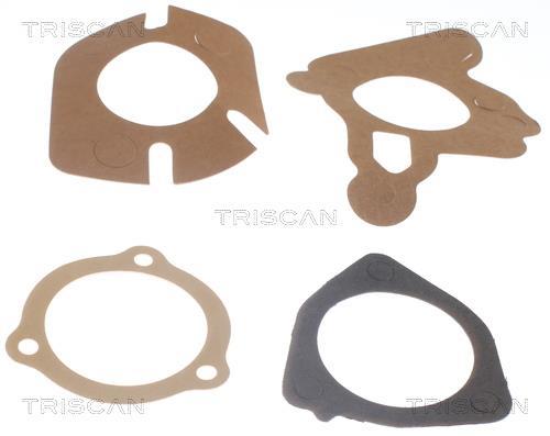 Thermostat d'eau (Calorstat) Triscan A/S 8620 2982