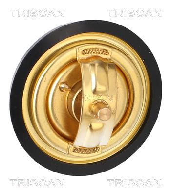 Thermostat d'eau (Calorstat) Triscan A/S 8620 3282