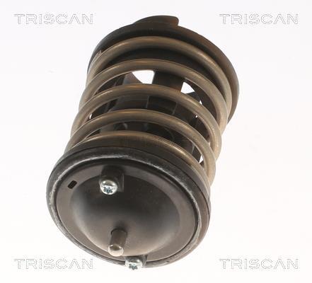 Termostato, refrigerante Triscan A/S ref. 8620 33380