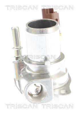 Thermostat d'eau (Calorstat) Triscan A/S 8620 44180