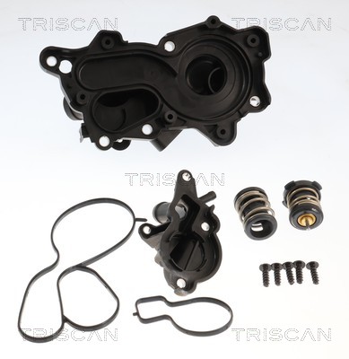Thermostat d'eau (Calorstat) Triscan A/S 8620 49001