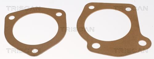 Thermostat d'eau (Calorstat) Triscan A/S ref. 8620 4982