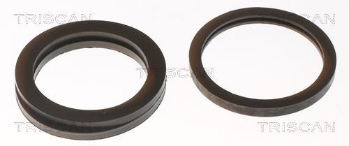 Thermostat d'eau (Calorstat) Triscan A/S ref. 8620 5488