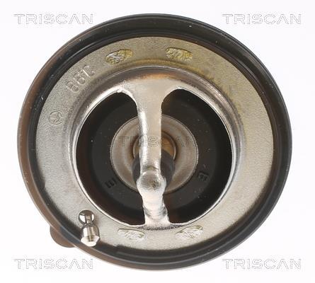 Termóstato de água Triscan A/S ref. 8620 54988