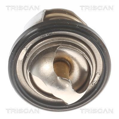 Termóstato de água Triscan A/S ref. 8620 55150