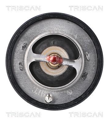 Thermostat d'eau (Calorstat) Triscan A/S 8620 55191