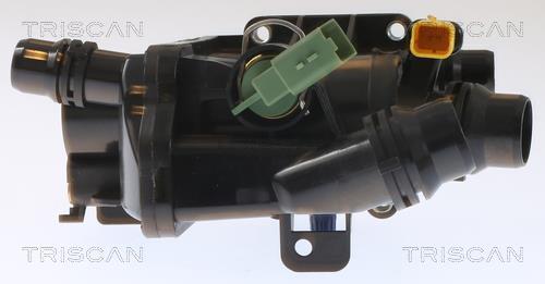 Thermostat d'eau (Calorstat) Triscan A/S ref. 8620 55197