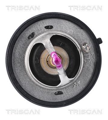 Thermostat d'eau (Calorstat) Triscan A/S 8620 55291