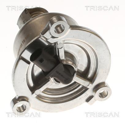 Thermostat d'eau (Calorstat) Triscan A/S ref. 8620 556103