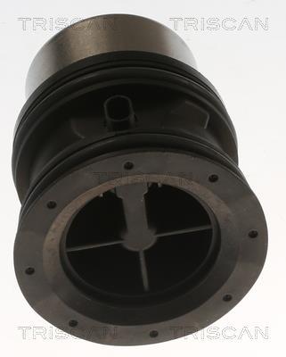 Termostato, refrigerante Triscan A/S ref. 8620 55692