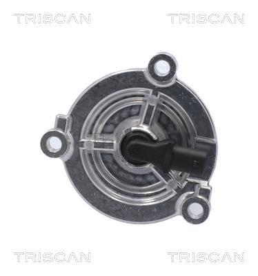 Termóstato de água Triscan A/S ref. 8620 557103
