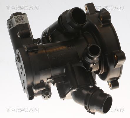 Thermostat d'eau (Calorstat) Triscan A/S ref. 8620 55900
