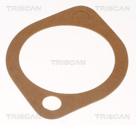 Thermostat d'eau (Calorstat) Triscan A/S 8620 5791