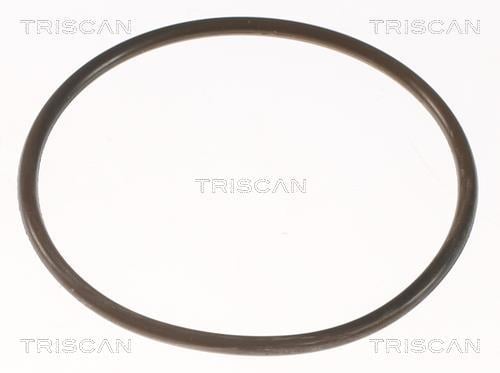 Termóstato de água Triscan A/S ref. 8620 5892