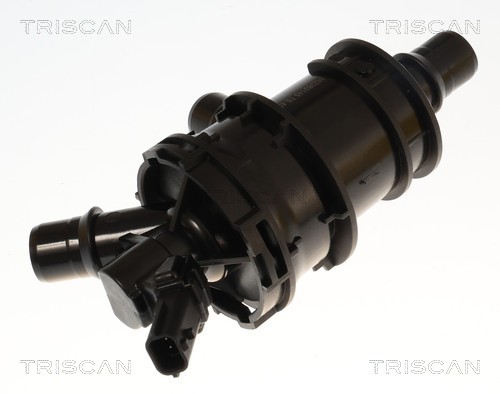 Thermostat d'eau (Calorstat) Triscan A/S 8620 60145
