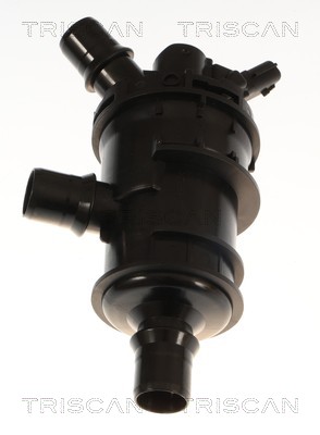 Thermostat d'eau (Calorstat) Triscan A/S 8620 60145