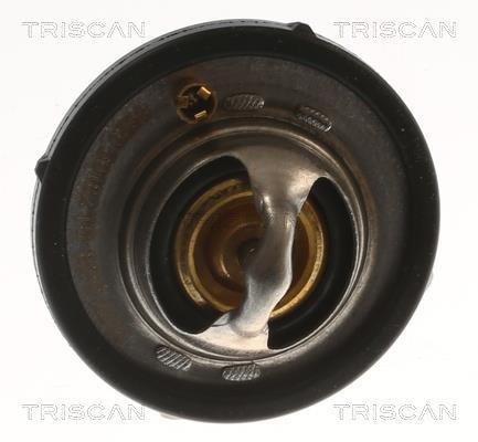 Termóstato de água Triscan A/S ref. 8620 60182