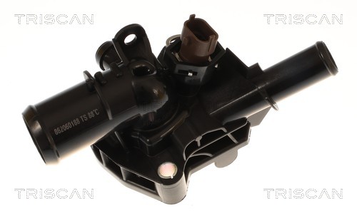 Thermostat d'eau (Calorstat) Triscan A/S 8620 60188