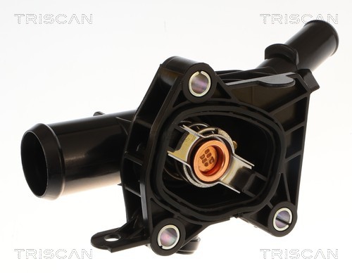 Thermostat d'eau (Calorstat) Triscan A/S 8620 60188
