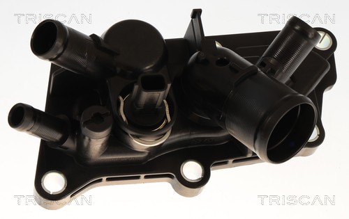 Thermostat d'eau (Calorstat) Triscan A/S 8620 60287