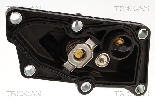 Thermostat d'eau (Calorstat) Triscan A/S 8620 60287