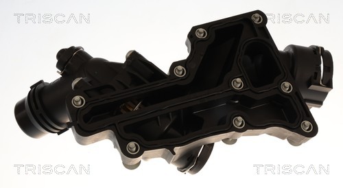 Thermostat d'eau (Calorstat) Triscan A/S 8620 60298