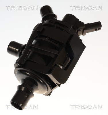 Thermostat d'eau (Calorstat) Triscan A/S 8620 60345