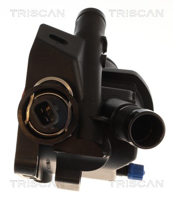 Termóstato de água Triscan A/S 8620 60383