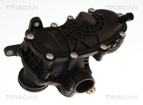 Thermostat d'eau (Calorstat) Triscan A/S 8620 60387