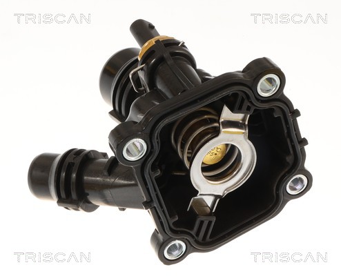 Thermostat d'eau (Calorstat) Triscan A/S 8620 60390