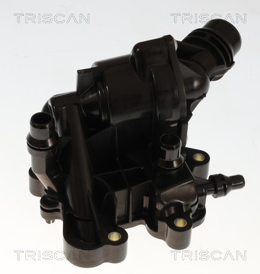 Thermostat d'eau (Calorstat) Triscan A/S 8620 60488
